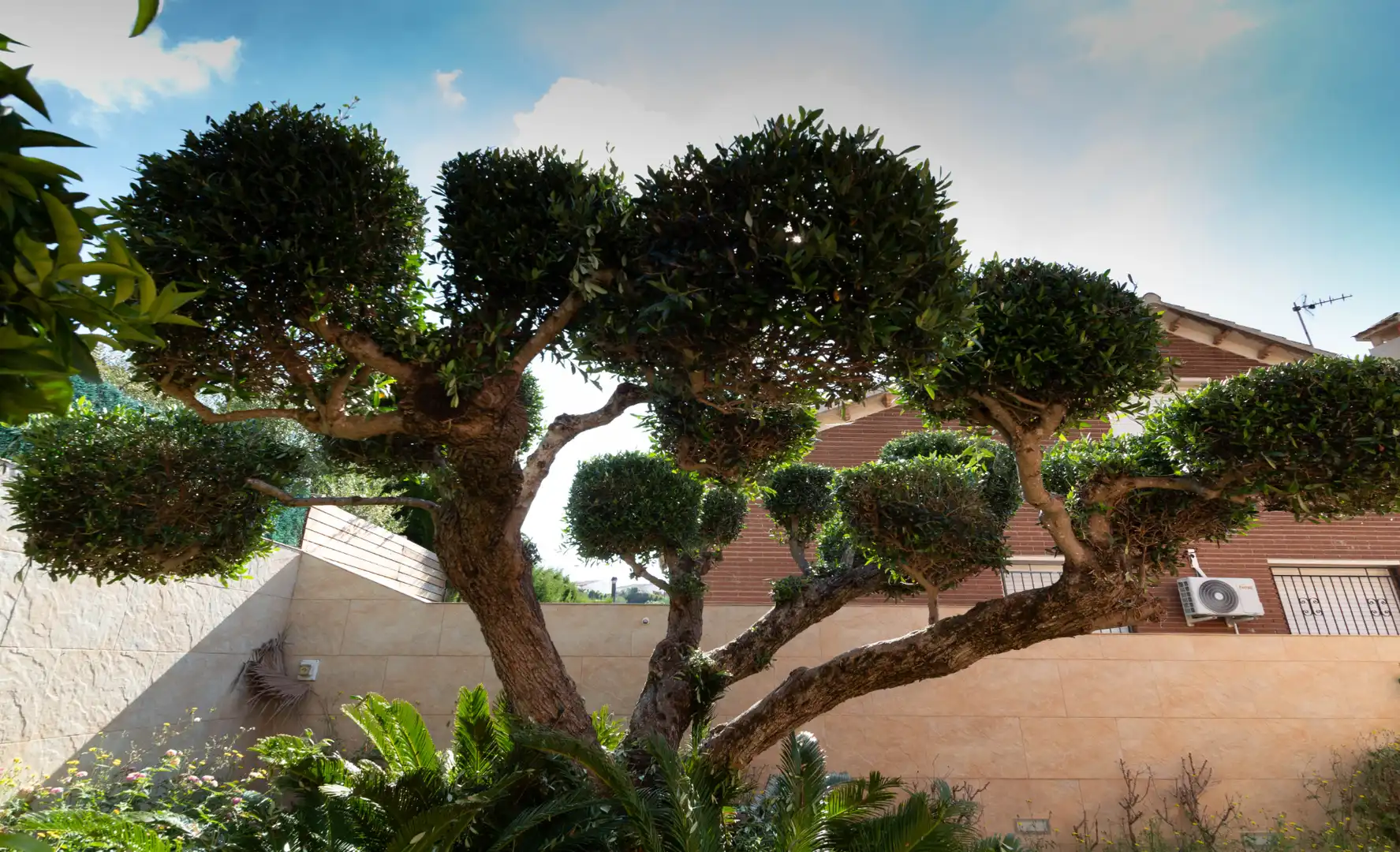Jardí de Casa o xalet en venda en El Vendrell amb Calefacció, Jardí privat i Terrassa