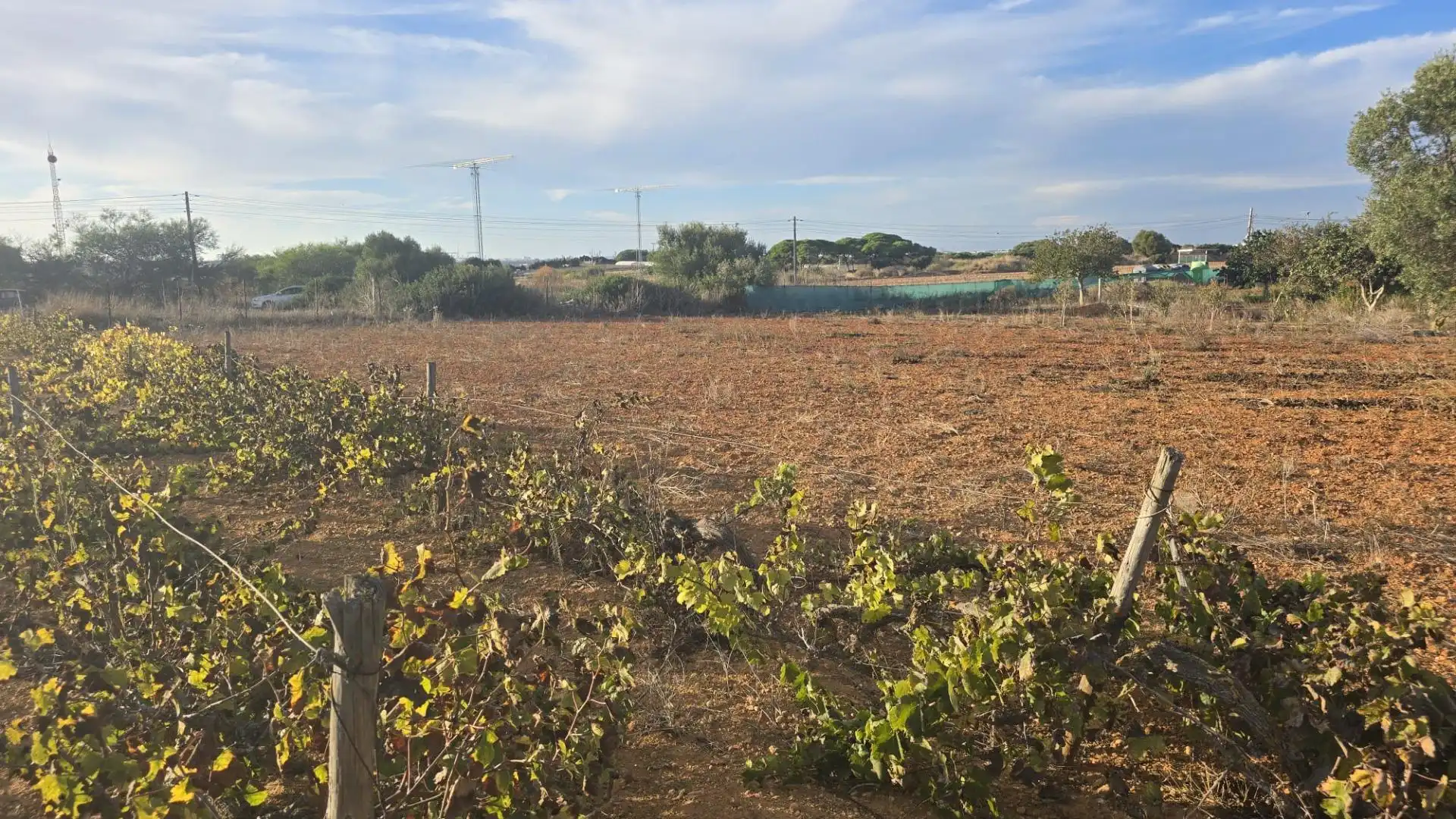 Land for sale in Los Franceses – La Vega