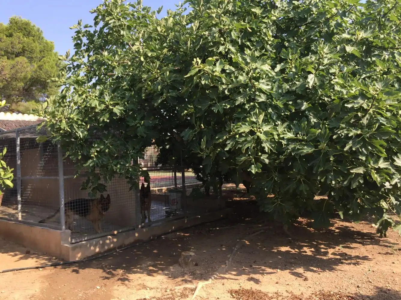 House with garden for sale in Els Reguers c15, imagen 57