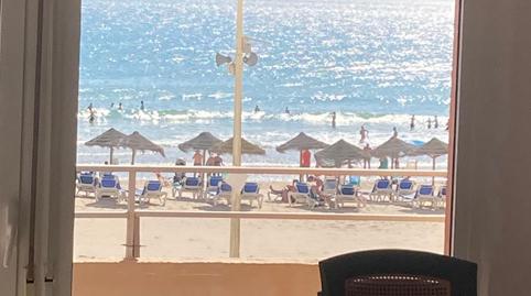 Photo 3 of Flat to rent in Paseo Marítimo - San José - La Laguna,  Cádiz Capital