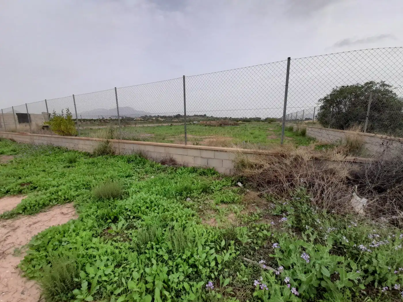 Casa o xalet en venda en Novelda amb Terrassa i Alarma