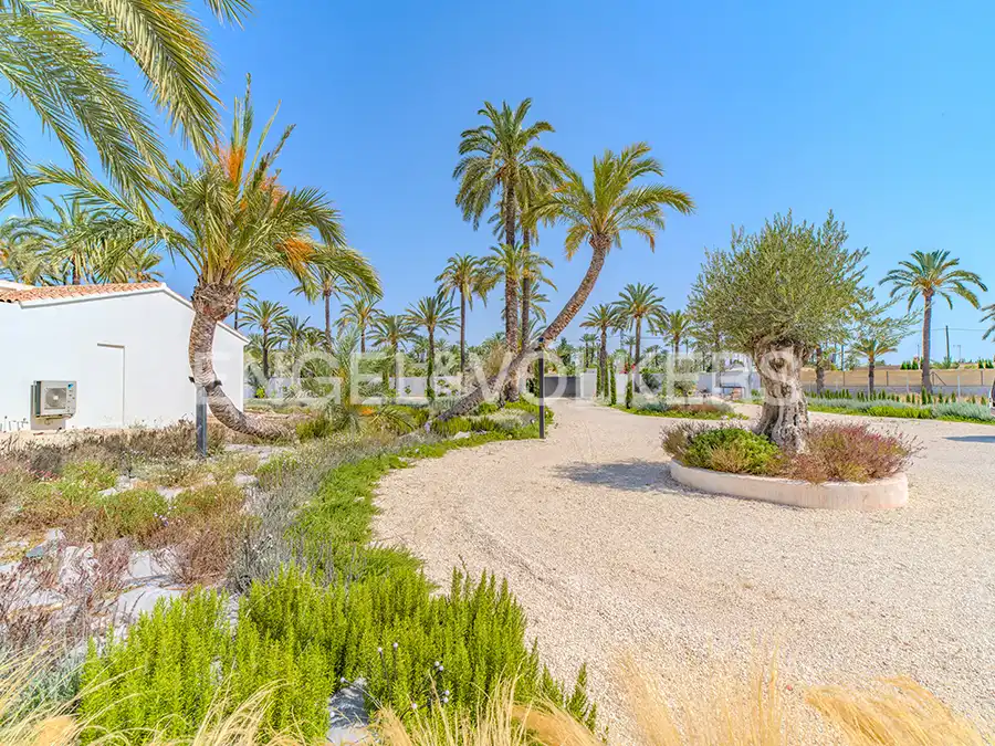 Vista exterior de Casa o xalet en venda en Elche / Elx amb Aire condicionat, Calefacció i Jardí privat