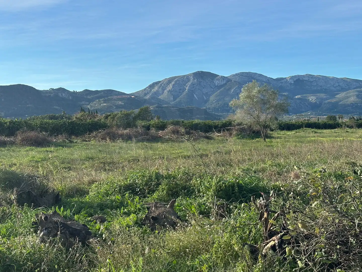 Lands and plots for sale in Pego, imagen 14