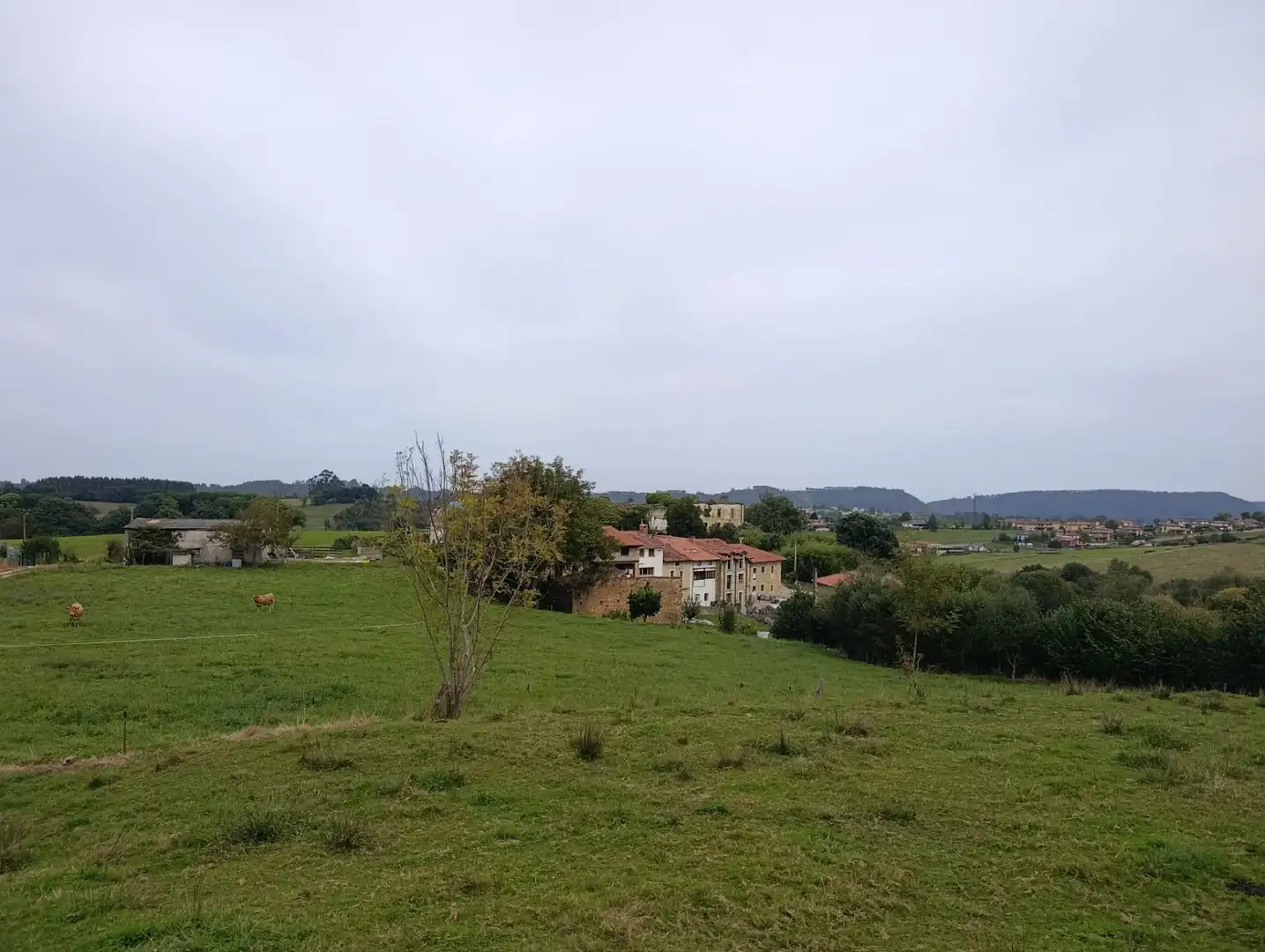 Rustikales Grundstück zum Verkauf in Carretera Piñera (Noriega) 0, imagen 4