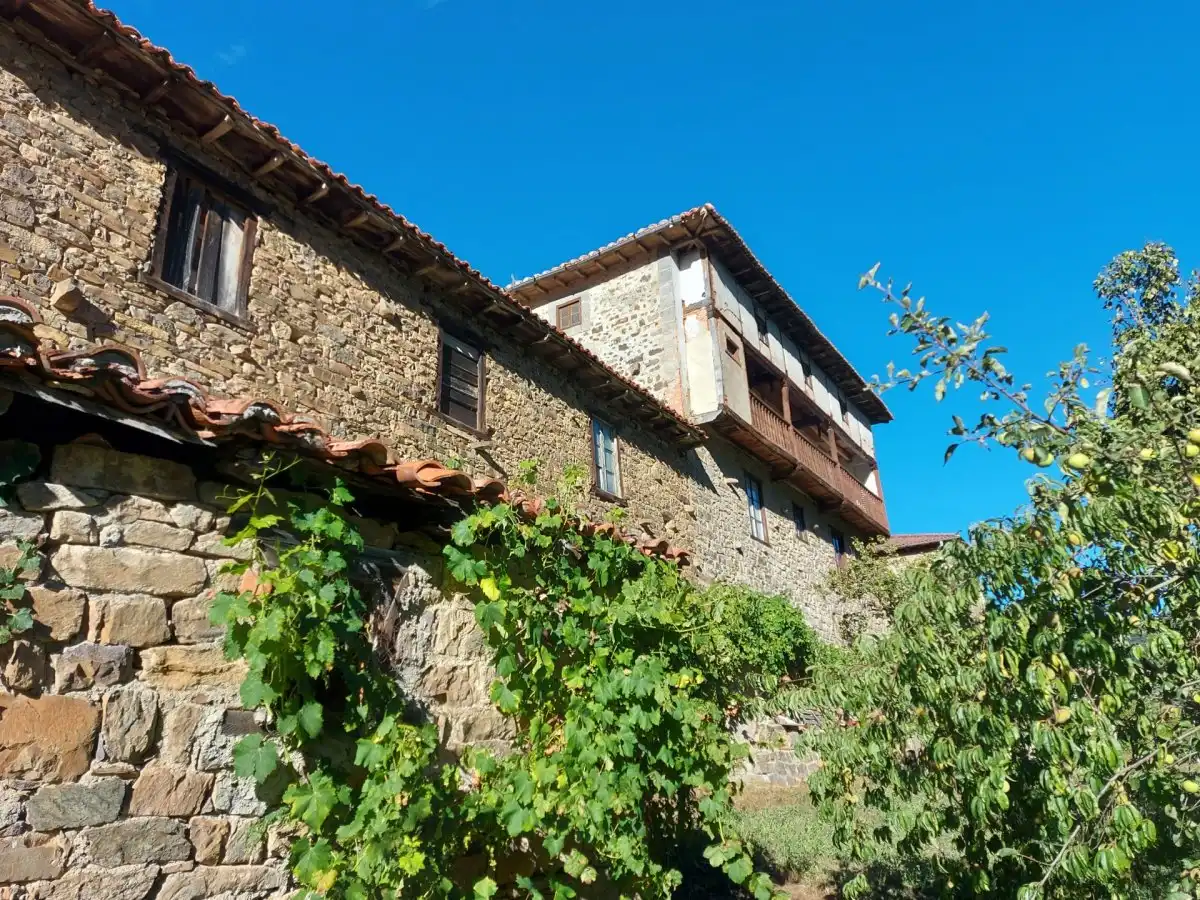 Vista exterior de Finca rústica en venda en Pesaguero amb Jardí privat