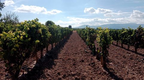 Foto 5 de Finca rústica en venta en N/a, Entrena, La Rioja