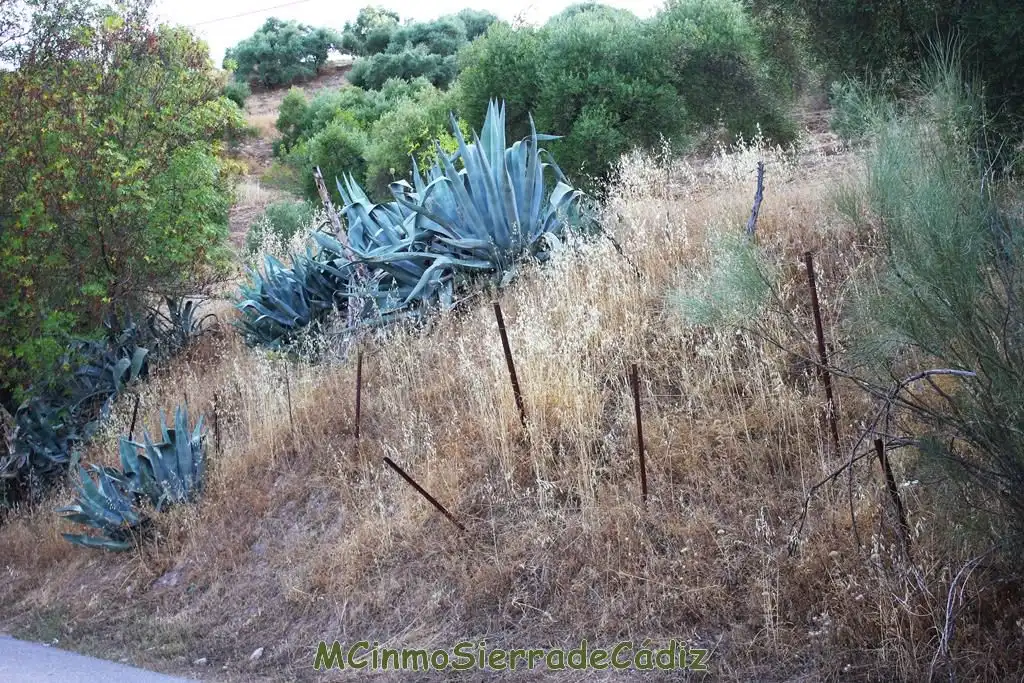 Casa rústica amb jardí en venda a 7 parcela 49, imagen 45