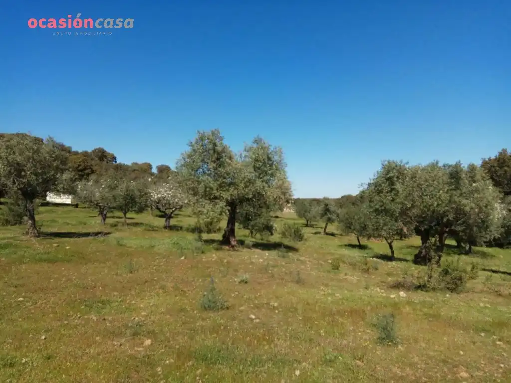 Villa mit Garten zum Verkauf in Pozoblanco, imagen 55