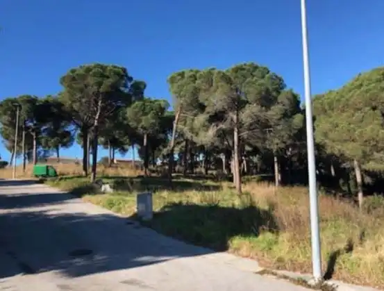 Terreno rustico in vendita a C/ S Daniel, imagen 11
