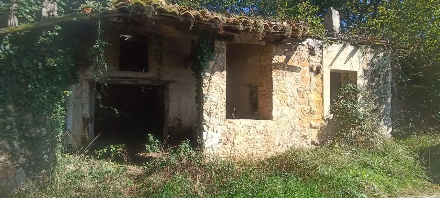 Vista exterior de Finca rústica en venta en Nava