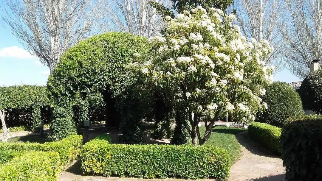Garden of Land for sale in Tudela