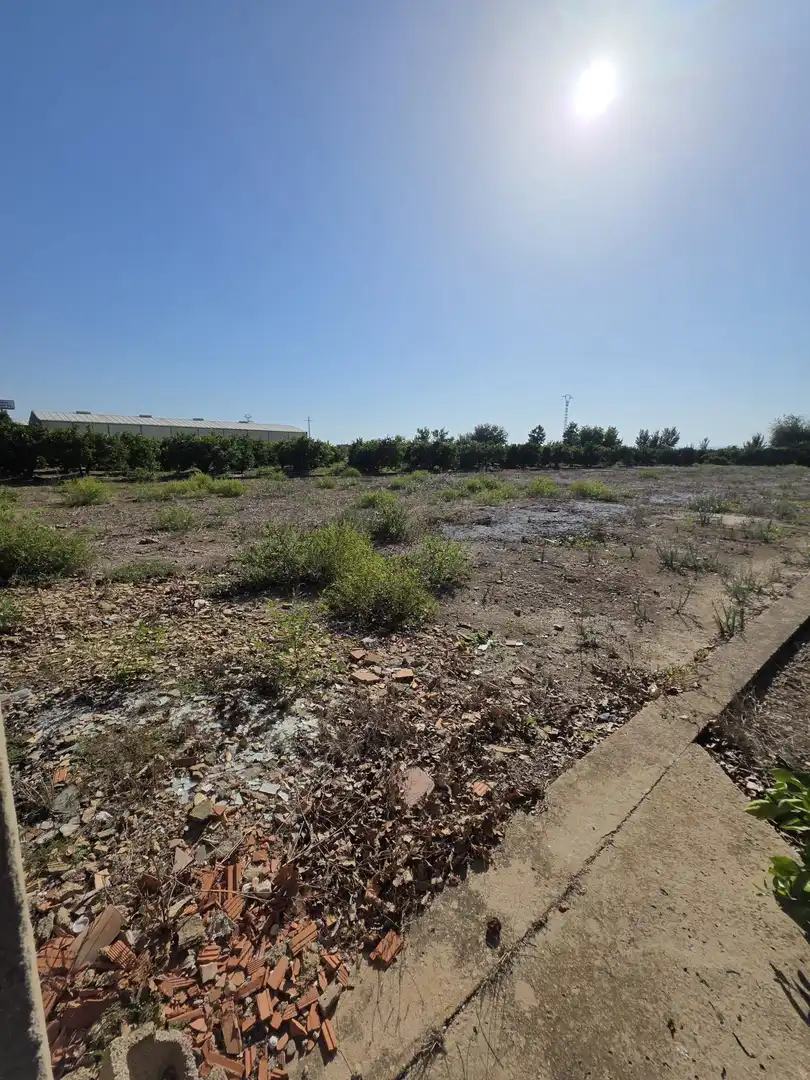 Terrain rustique à vendre à Albalat de la Ribera, imagen 13