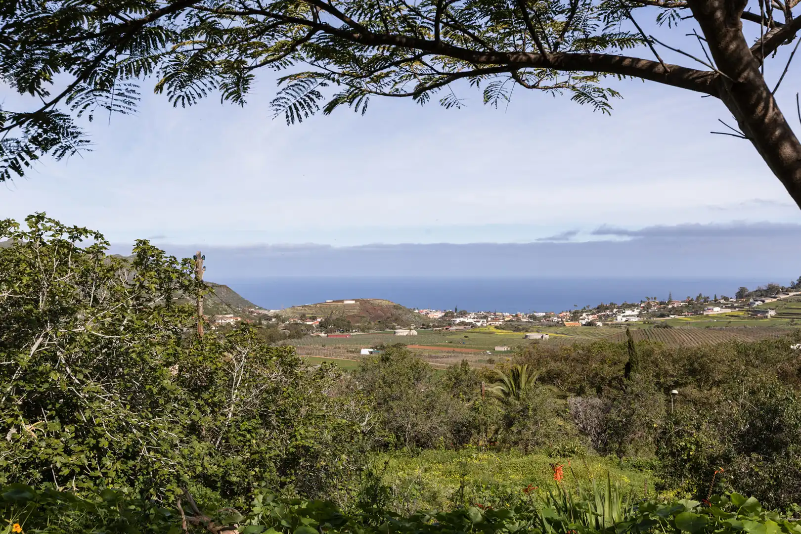 Vista exterior de Finca rústica en venta en Tegueste con Jardín privado, Terraza y Horno
