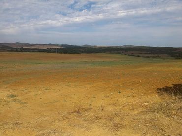 Terreno rustico in vendita a Los Franceses – La Vega