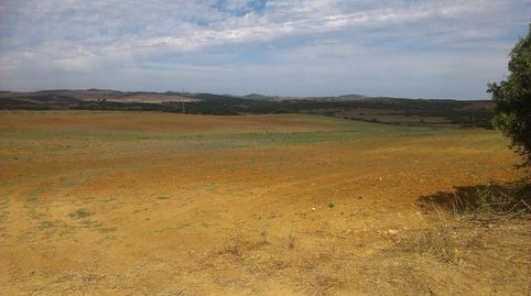 FINCA DE 10 ALANZADAS DE TERRENO EN TERMINO DE PUERTO REAL.