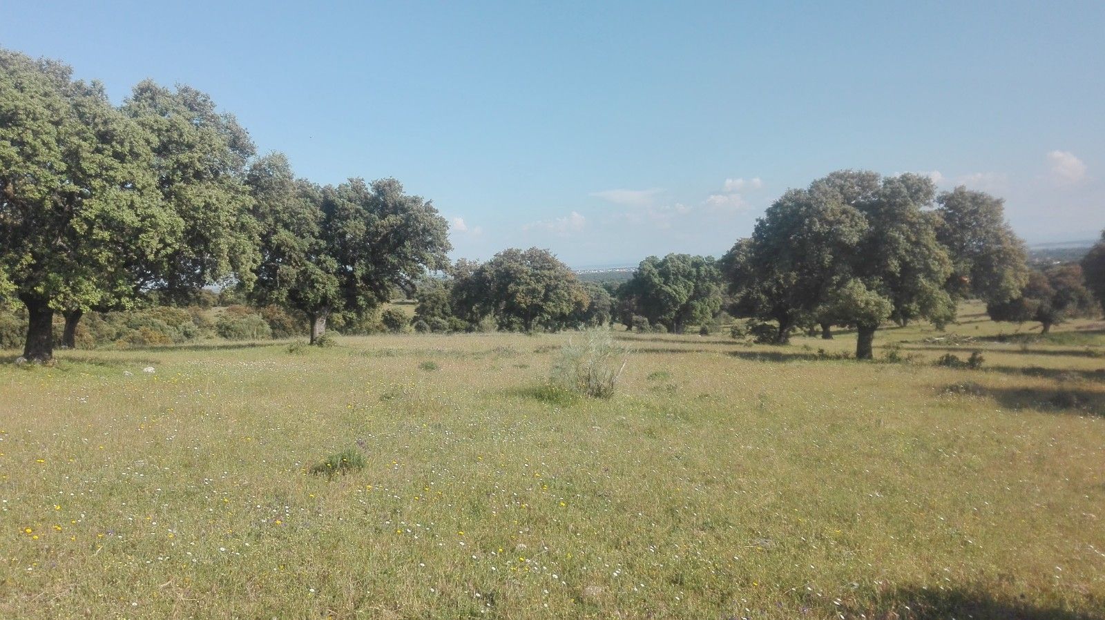 Country house for sale in San Román de los Montes