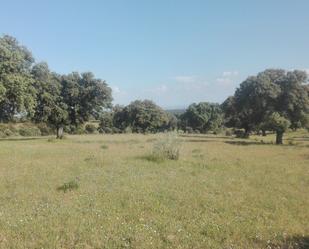 Finca rústica en venda en San Román de los Montes