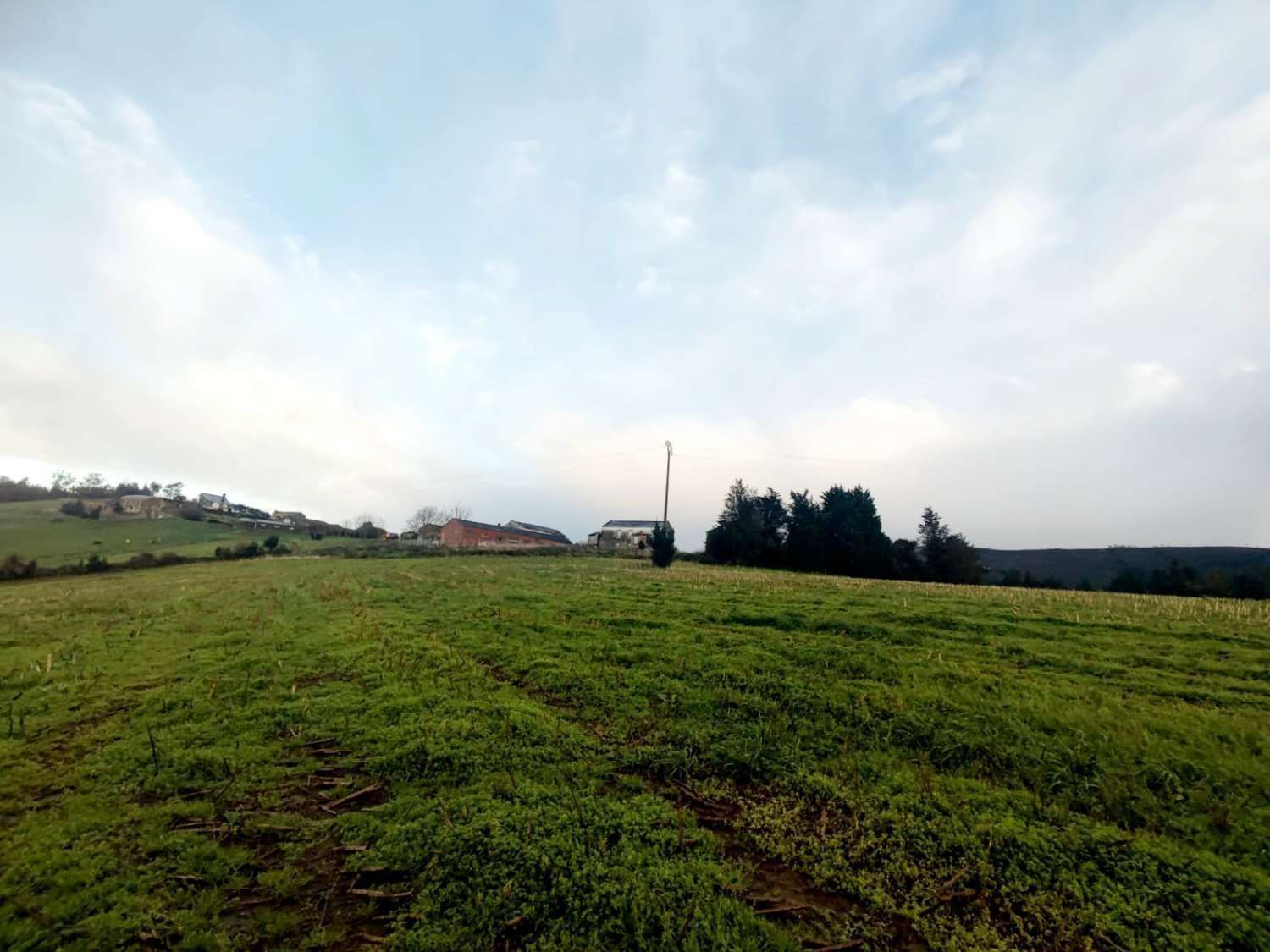 Terreny industrial en venda en Castropol