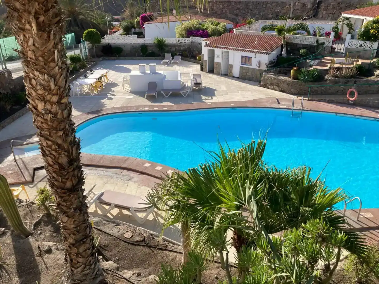 Swimming pool of Flat for rent in Mogán  with Furnished, Oven and Washing machine
