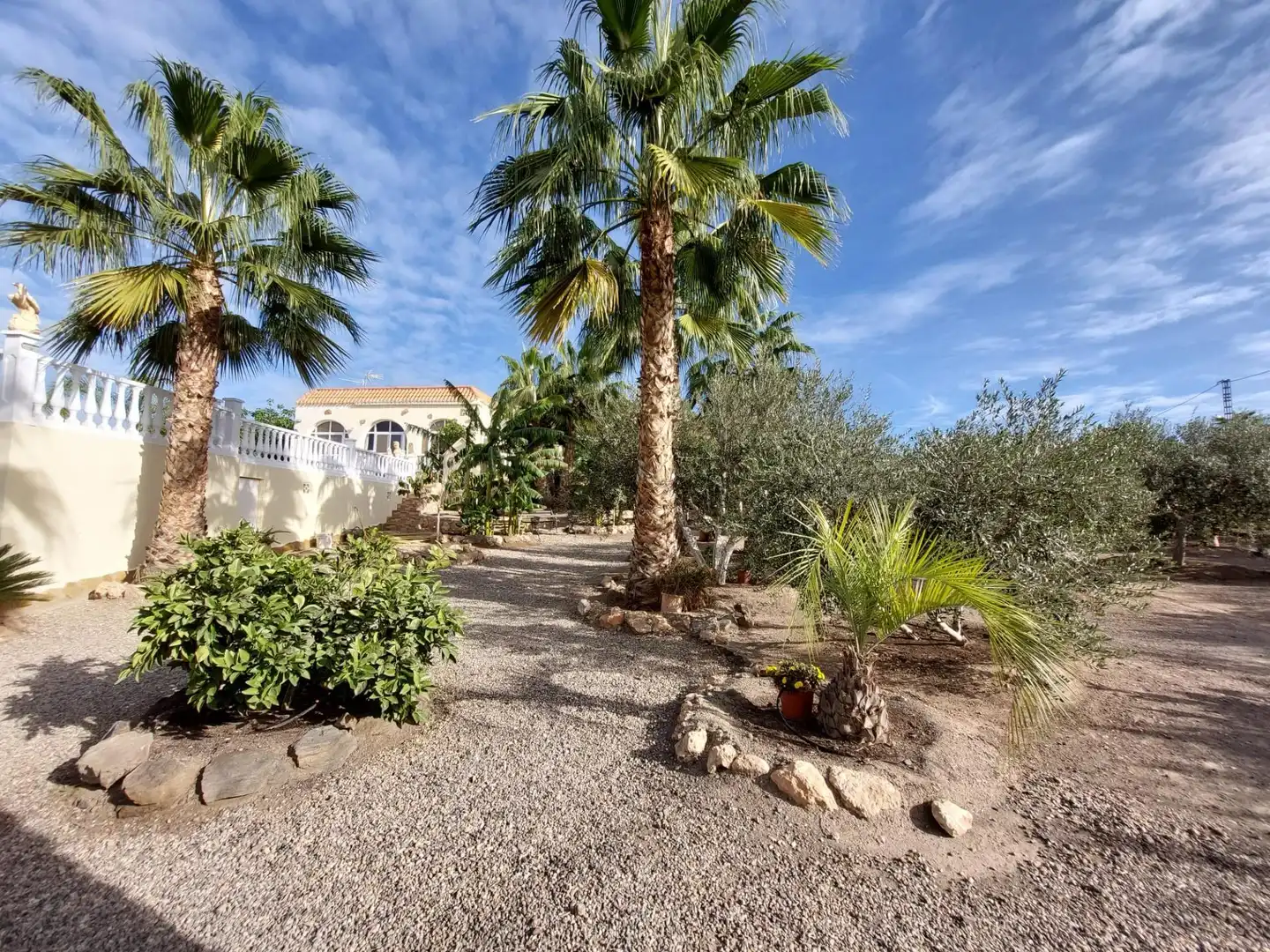 Casa rustica con piscina in vendita a Tébar - Los Arejos, imagen 57