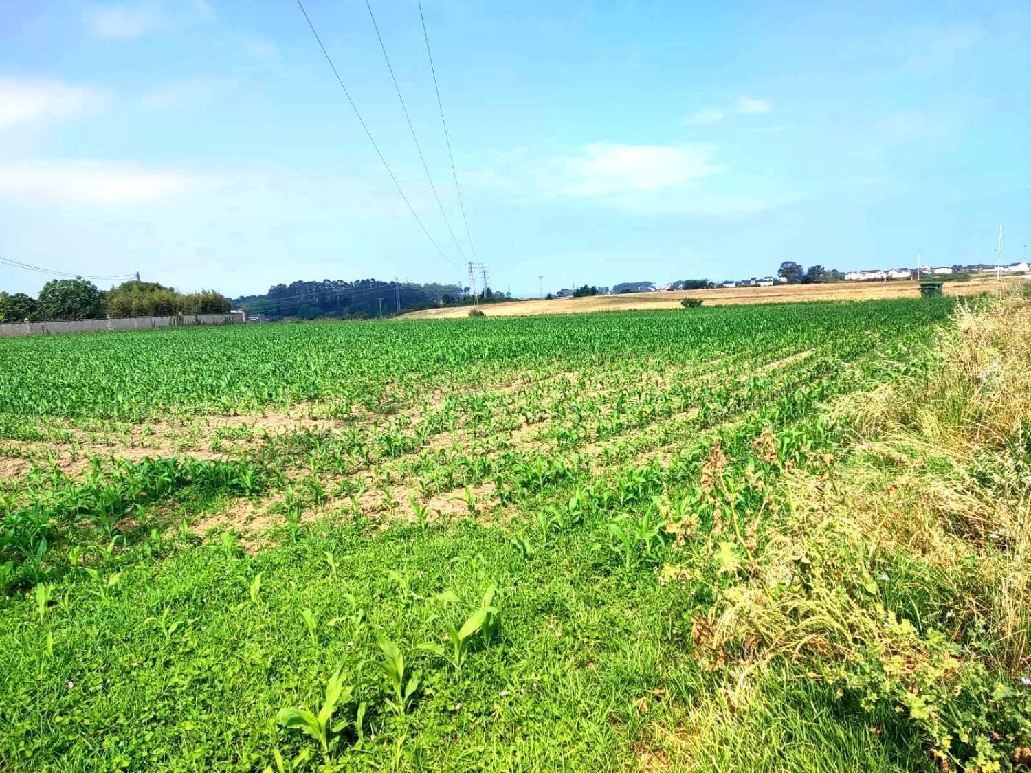 Residencial en venda a  Mántaras, Tapia de Casariego