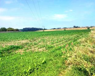 Industrial land for sale in Tapia de Casariego
