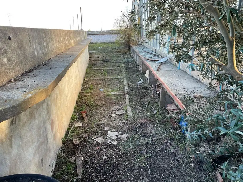 Nave industrial en venta en Catadau, imagen 21