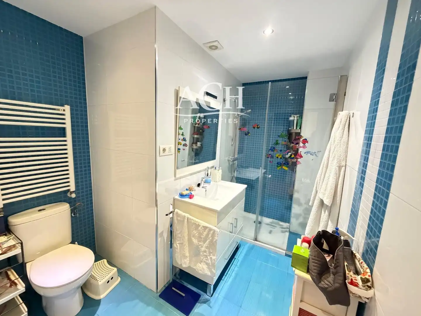 Appartamento con terrazza in vendita a Ercilla, imagen 43