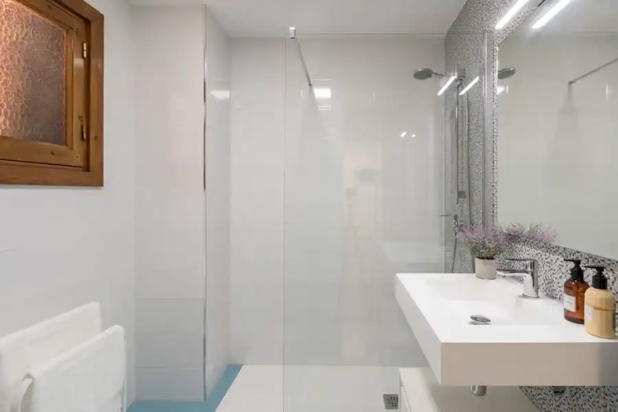 Bathroom of Apartments for rent in Centro