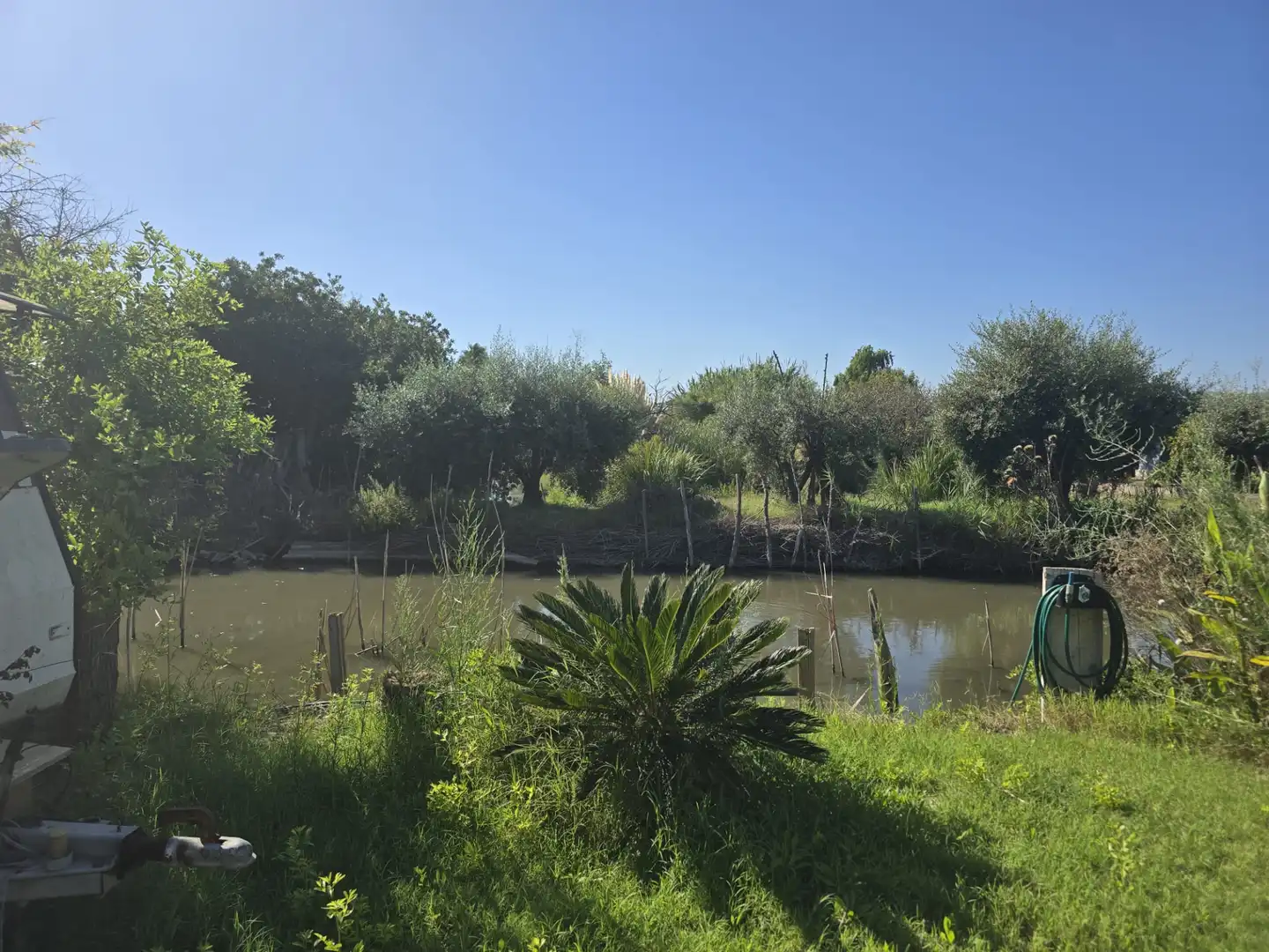 Terreny rústic en venda a Camí la Fileta 2, imagen 13