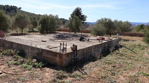 Foto 2 de Terreny en venda a Barona, Vall d'Alba, Castellón