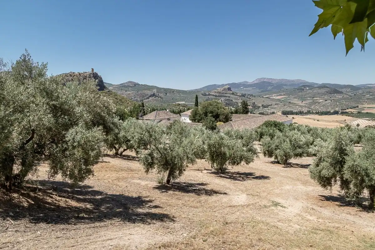 Finca rústica en venta en Moclín con Piscina