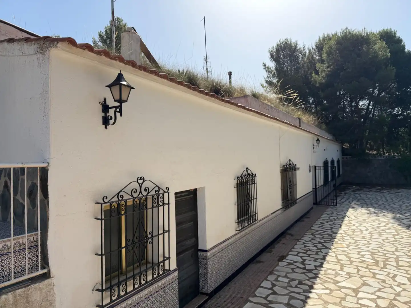 Vista exterior de Finca rústica en venta en Cúllar