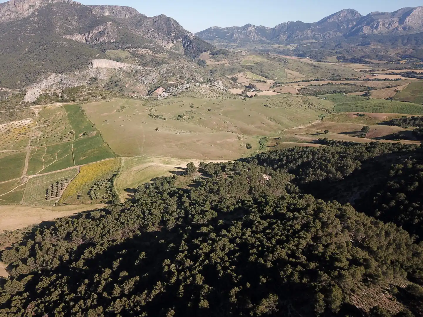 Terreno residenziale in vendita a Ardales, imagen 37
