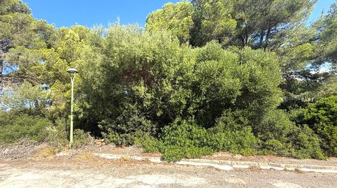 Foto 2 de Residencial en venta en Cales de Mallorca, Manacor