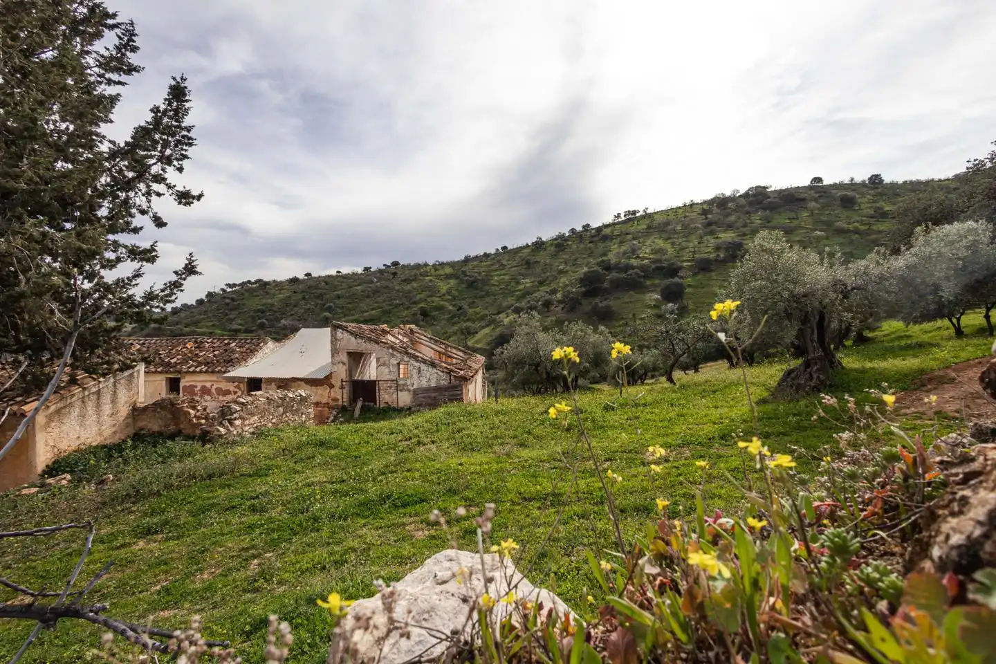 Terreni e lotti in vendita a Poligono 9, imagen 23