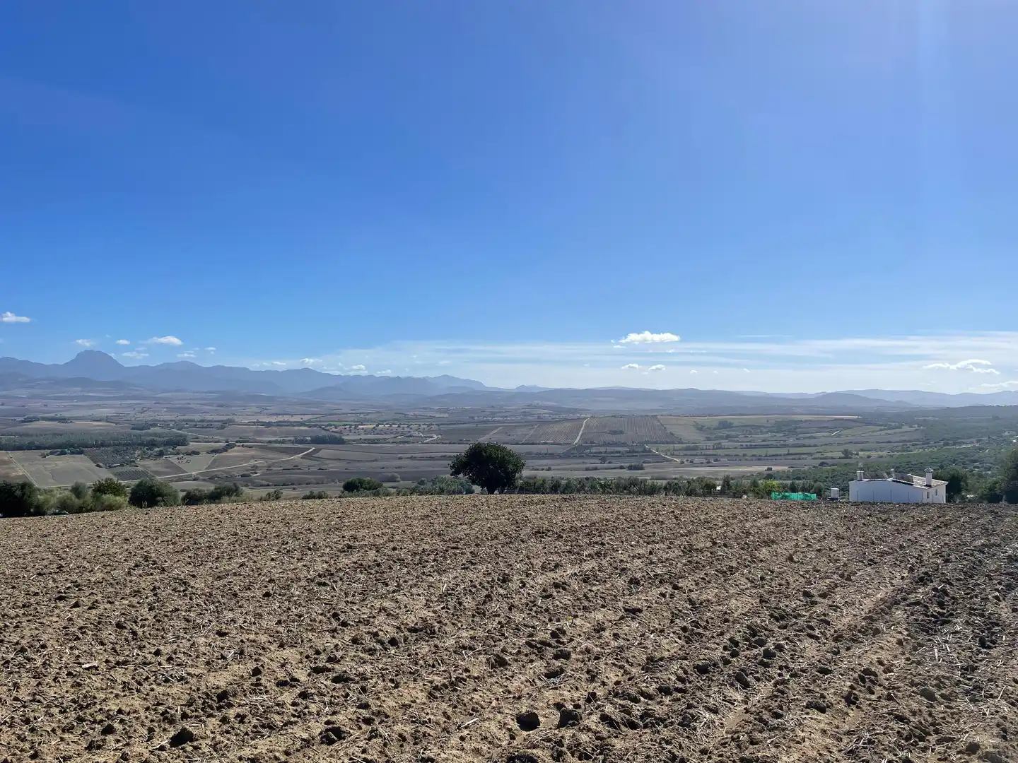 Terreno rustico in vendita a Arcos de la Frontera, imagen 12