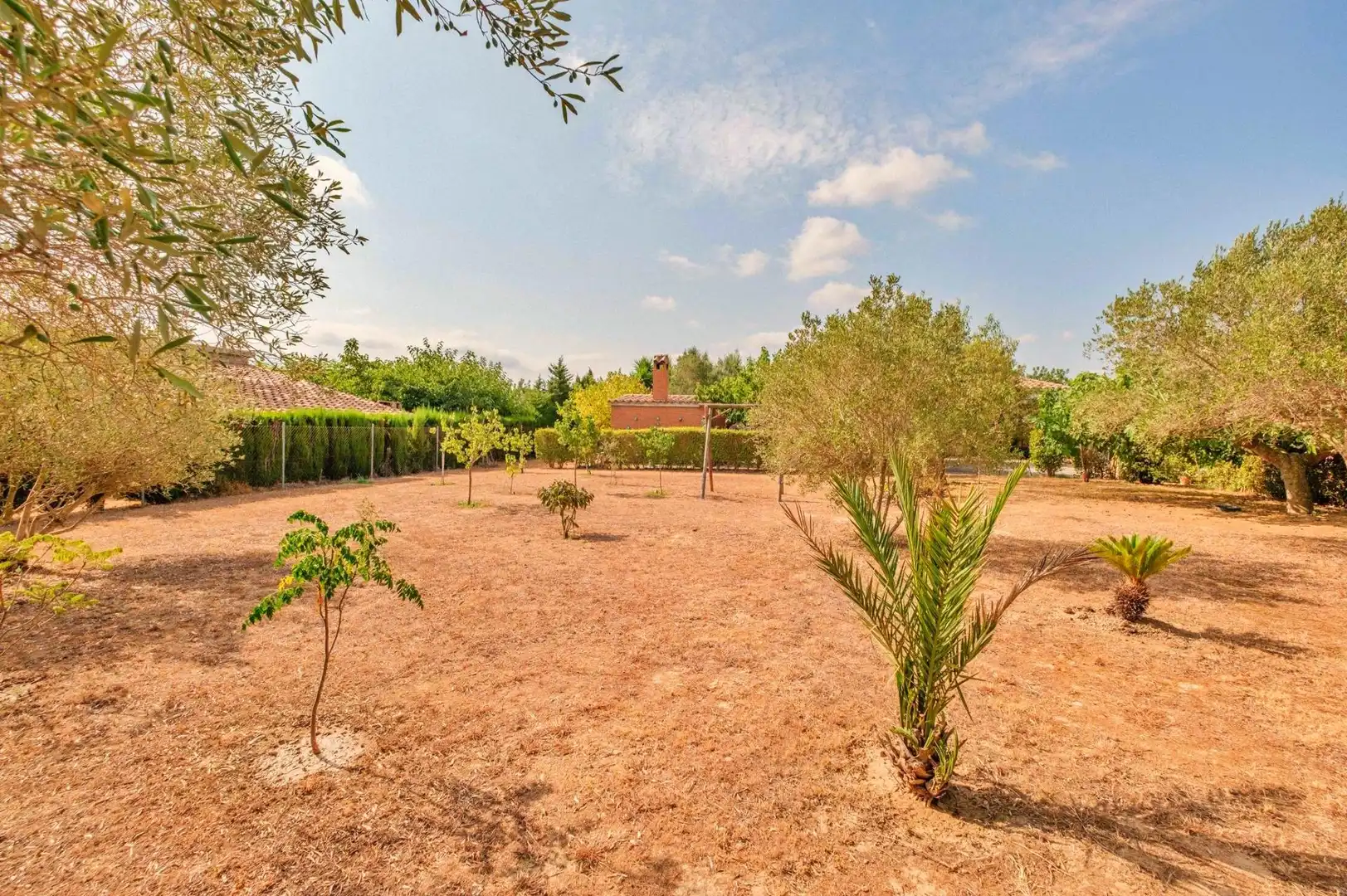 Villa avec piscine à vendre à Roquetes, imagen 45