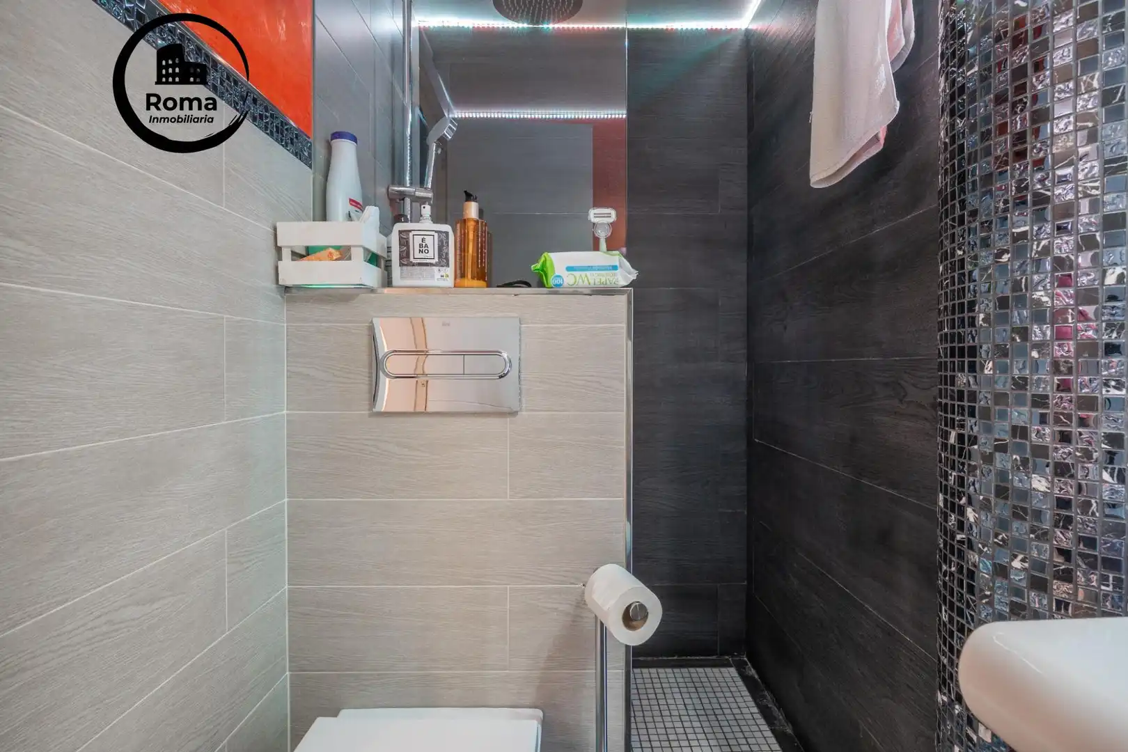 Flat with terrace for sale in Calle  Pintor Murillo 5, imagen 26