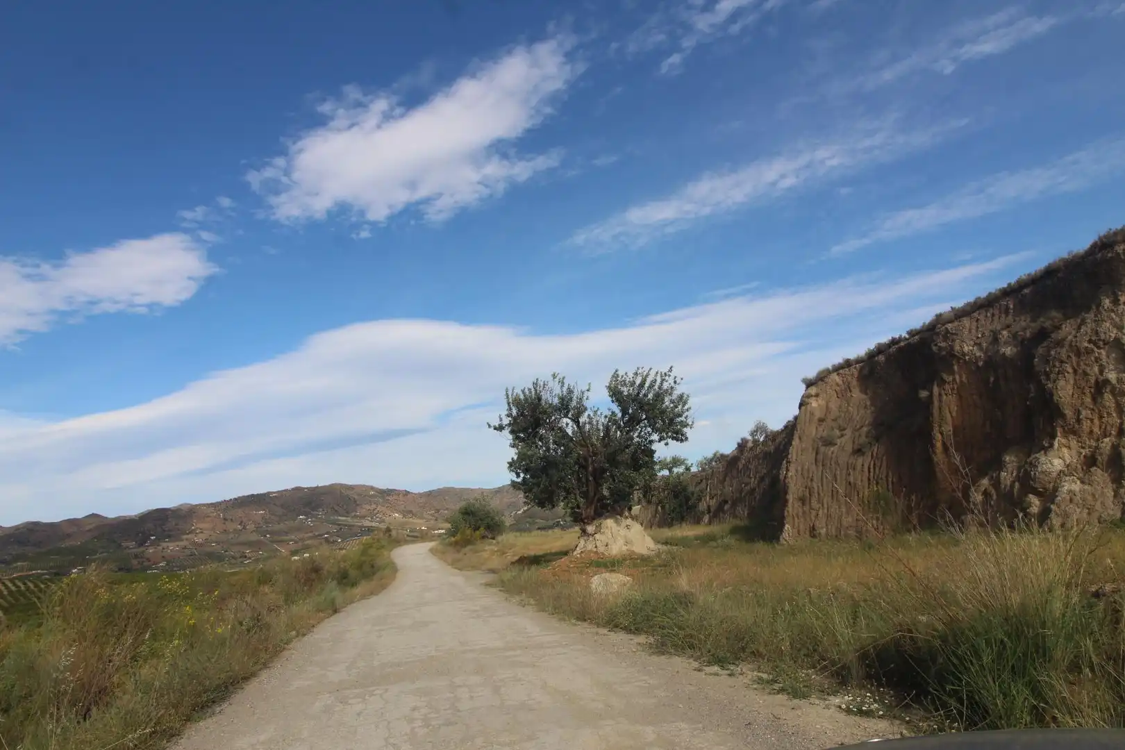 Rural land for sale in Diseminado Poligono 15, imagen 3