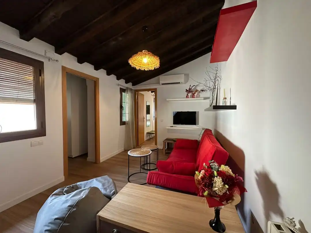 Sala d'estar de Pis de lloguer en Toledo amb Aire condicionat, Calefacció i Terrassa