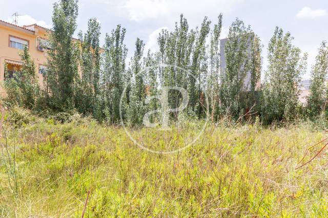 Terreno residencial en Venta en Turís