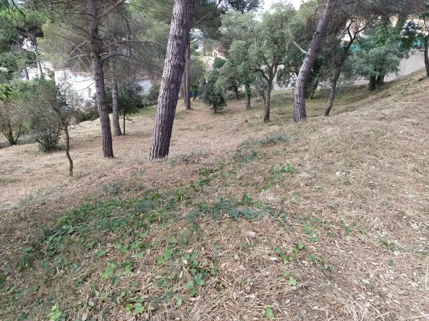 Wohnbaugrundstück zum Verkauf in Carrer Alzina 34, imagen 3