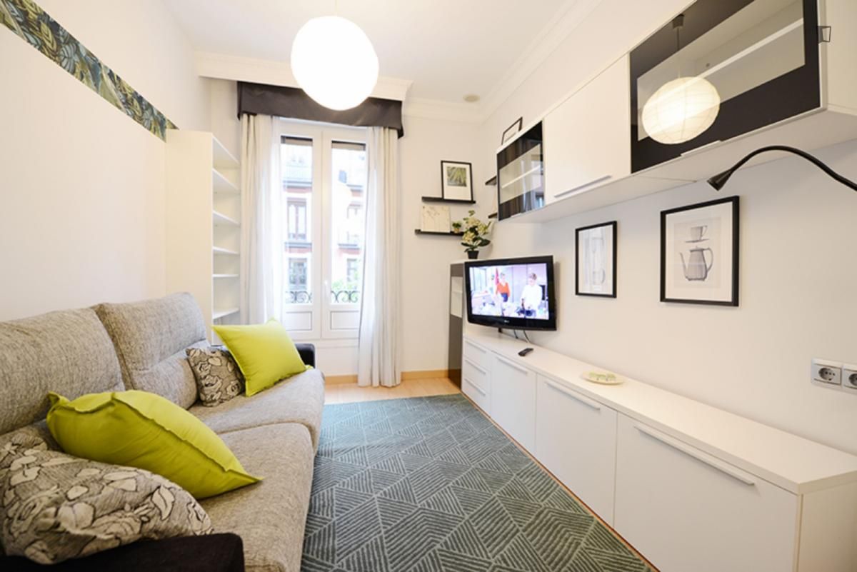 Living room of Apartment to rent in Bilbao   with Furnished, Oven and Washing machine