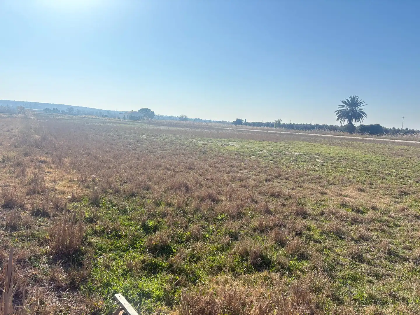 Terrain rustique à vendre à La Foia - Daimés - Asprella, imagen 9
