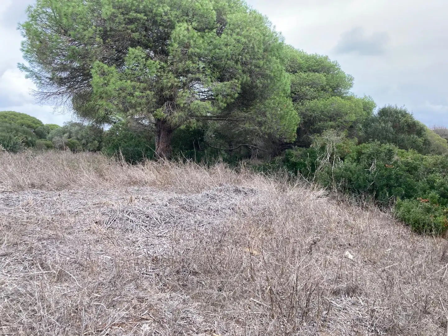 Grundstücke und Bauplätze zum Verkauf in Vejer, imagen 8
