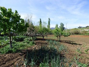 Casa rústica con piscina en venta en Partidas Norte