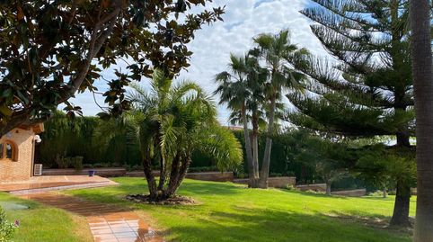 Photo 3 of Houses for sale in Calle Los Lagos, Alginet, Valencia