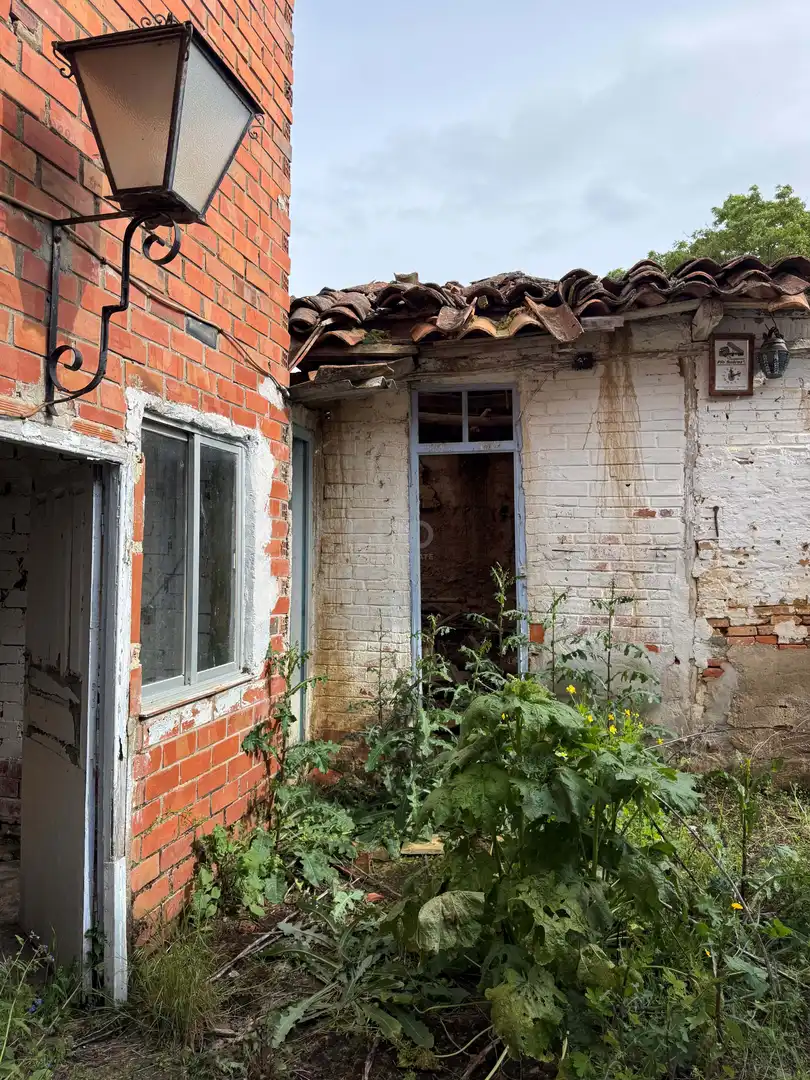 Vista exterior de Finca rústica en venta en Cimanes del Tejar