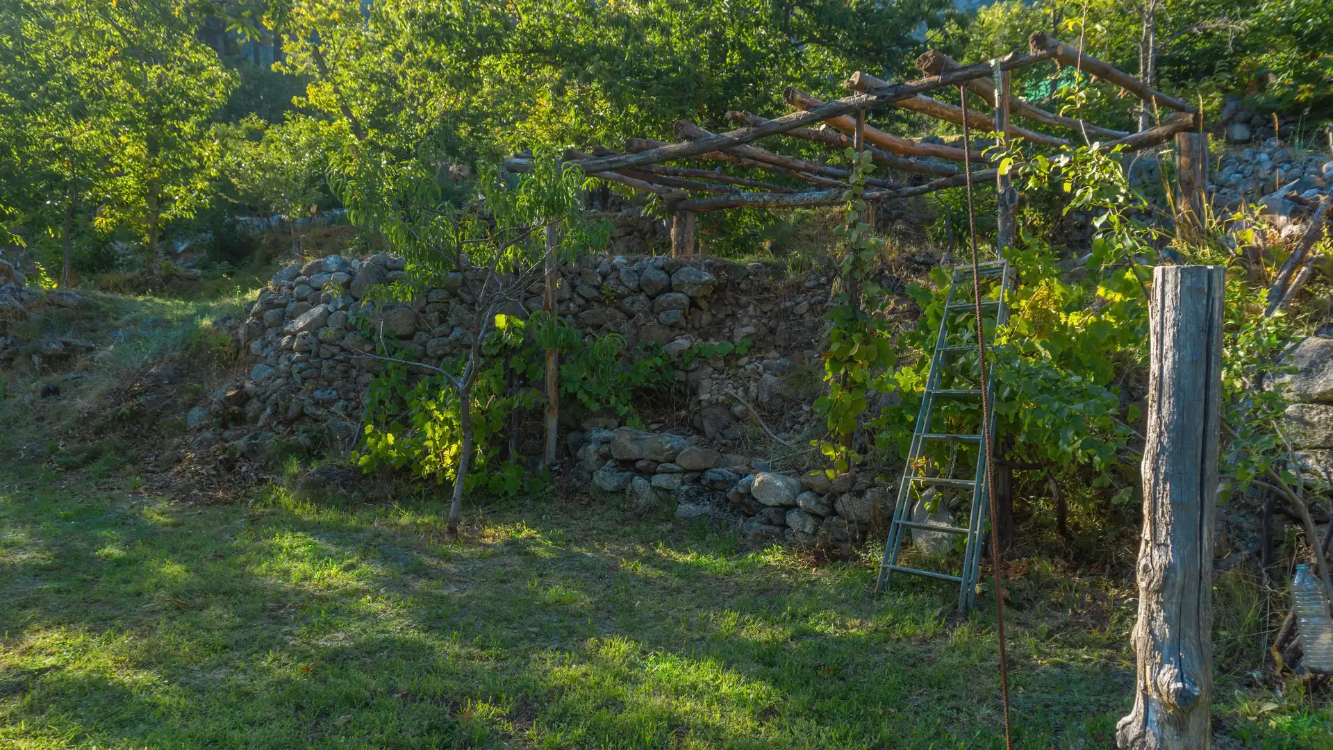 Jardí de Casa o xalet en venda en El Hornillo 